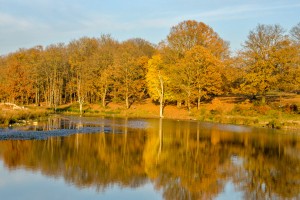 Kapaklı 